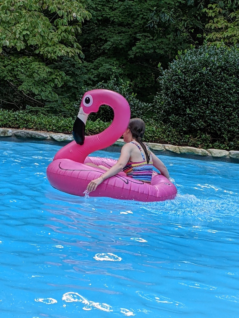 No description provided for: /2022/07-09/0813-erin-in-pool/photo01.html