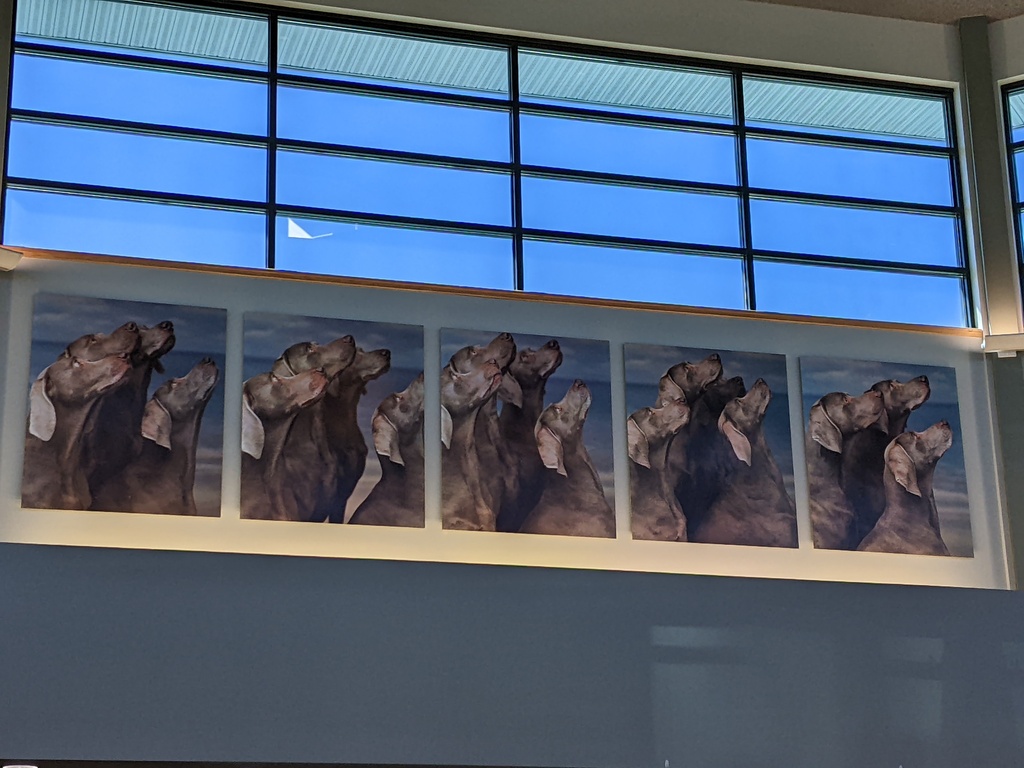 No description provided for: /2022/07-09/0915-dog-mural/photo01.html