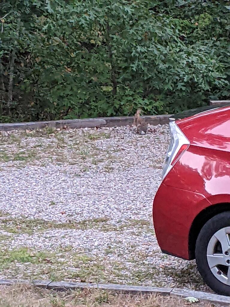 No description provided for: /2022/07-09/0917-rabbit/photo02.html