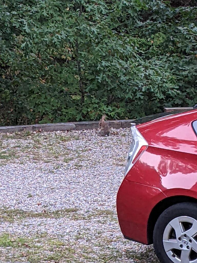 No description provided for: /2022/07-09/0917-rabbit/photo03.html