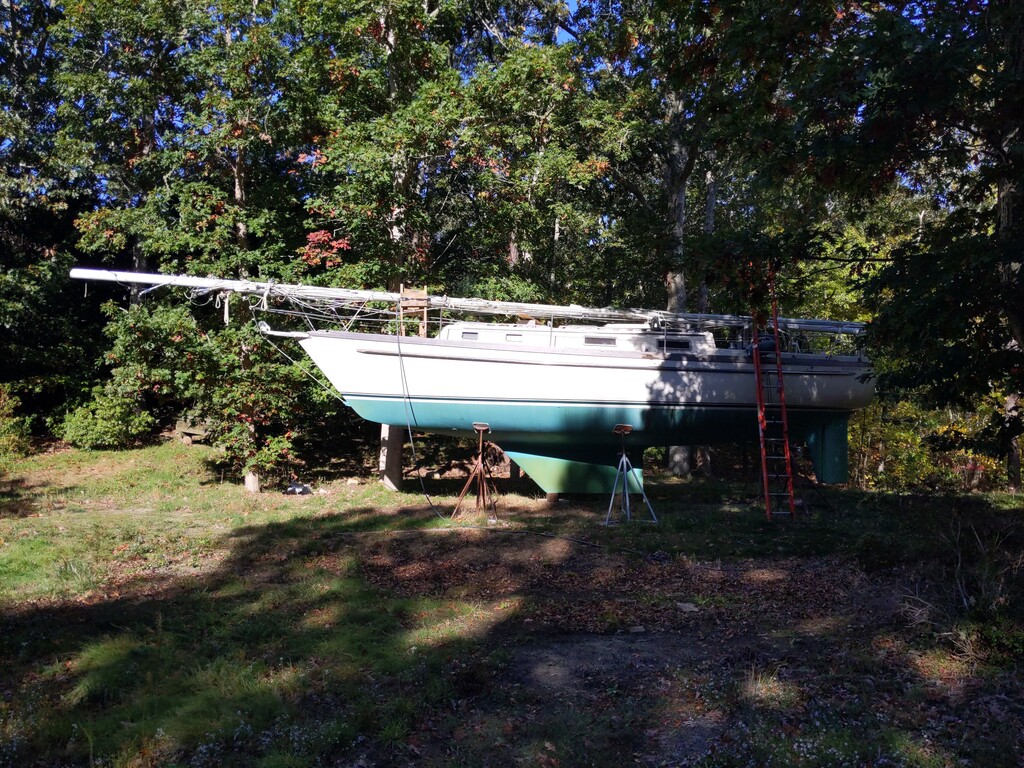 No description provided for: /2022/10-12/1021-my36-in-yard/photo01.html