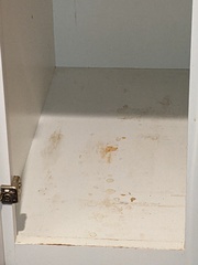 Image file: photo01.jpg