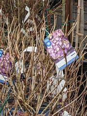 Image file: photo01.jpg