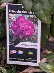 Image file: photo04.jpg