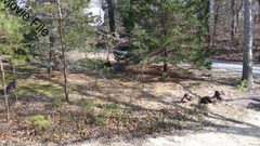 Image file: movie01.mp4