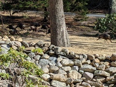 Image file: photo02.jpg