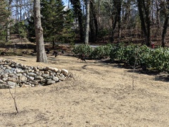 Image file: photo03.jpg