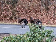 Image file: photo01.jpg