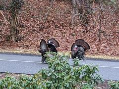 Image file: photo02.jpg