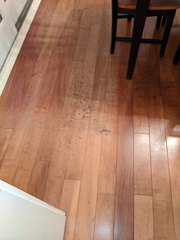 Image file: photo03.jpg