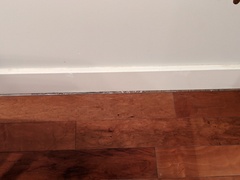 Image file: photo05.jpg