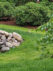 Image file: photo01.jpg