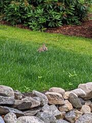 Image file: photo02.jpg