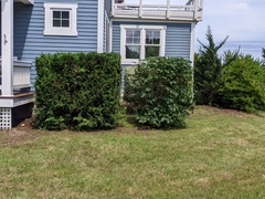 Image file: photo03.jpg