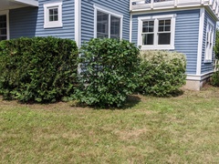 Image file: photo04.jpg