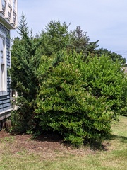 Image file: photo05.jpg