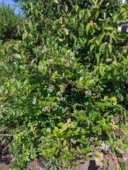 Image file: photo01.jpg