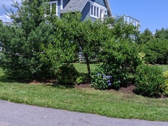 Image file: photo02.jpg