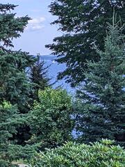 Image file: photo02.jpg