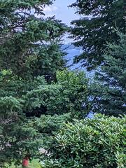 Image file: photo03.jpg