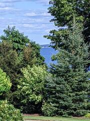 Image file: photo01.jpg