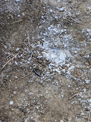 Image file: photo04.jpg