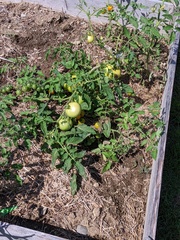 Image file: photo01.jpg