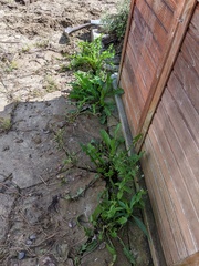 Image file: photo01.jpg