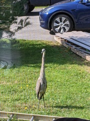 Image file: photo02.jpg