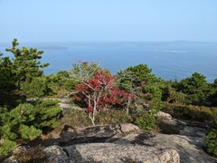 Image file: photo16.jpg