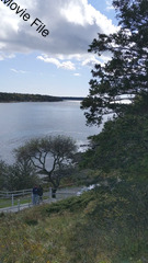 Image file: movie01.mp4