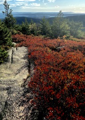 Image file: photo16.jpg