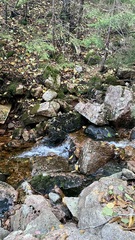 Image file: photo41.jpg