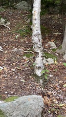 Image file: photo53.jpg