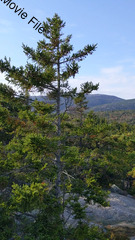 Image file: movie01.mp4