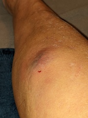 Image file: photo01.jpg