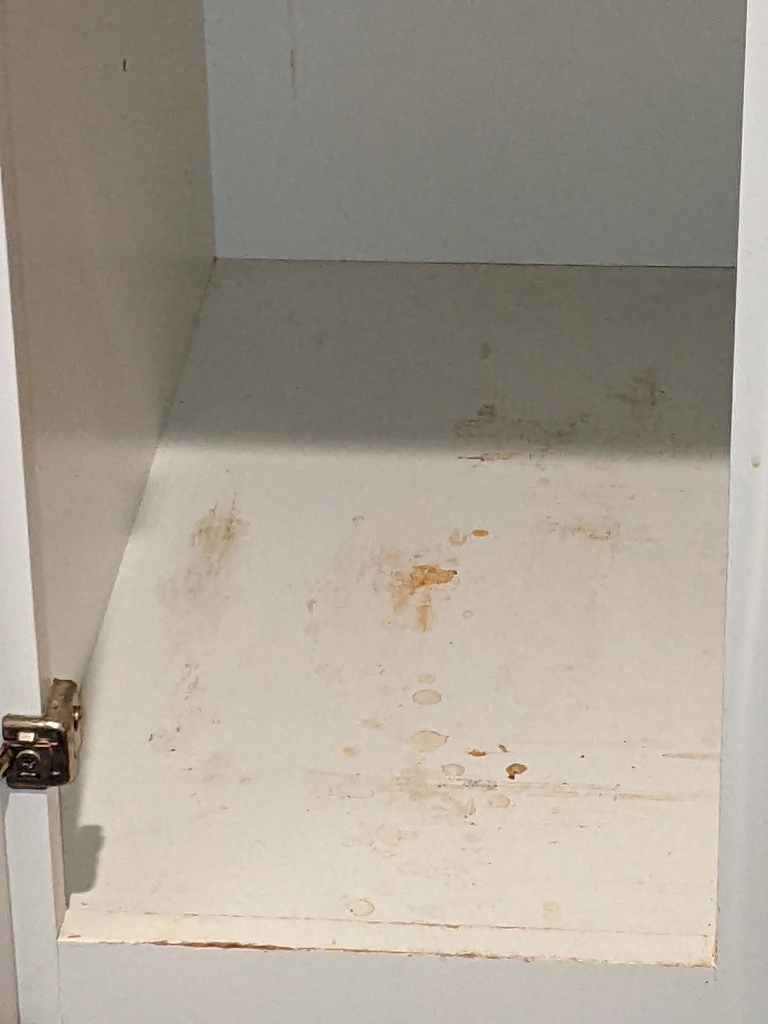 No description provided for: /2023/01-03/0213-belfast-move-in/photo01.html