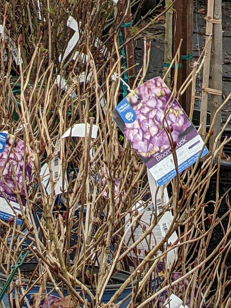 No description provided for: /2023/01-03/0322-rhodie-shopping/photo01.html