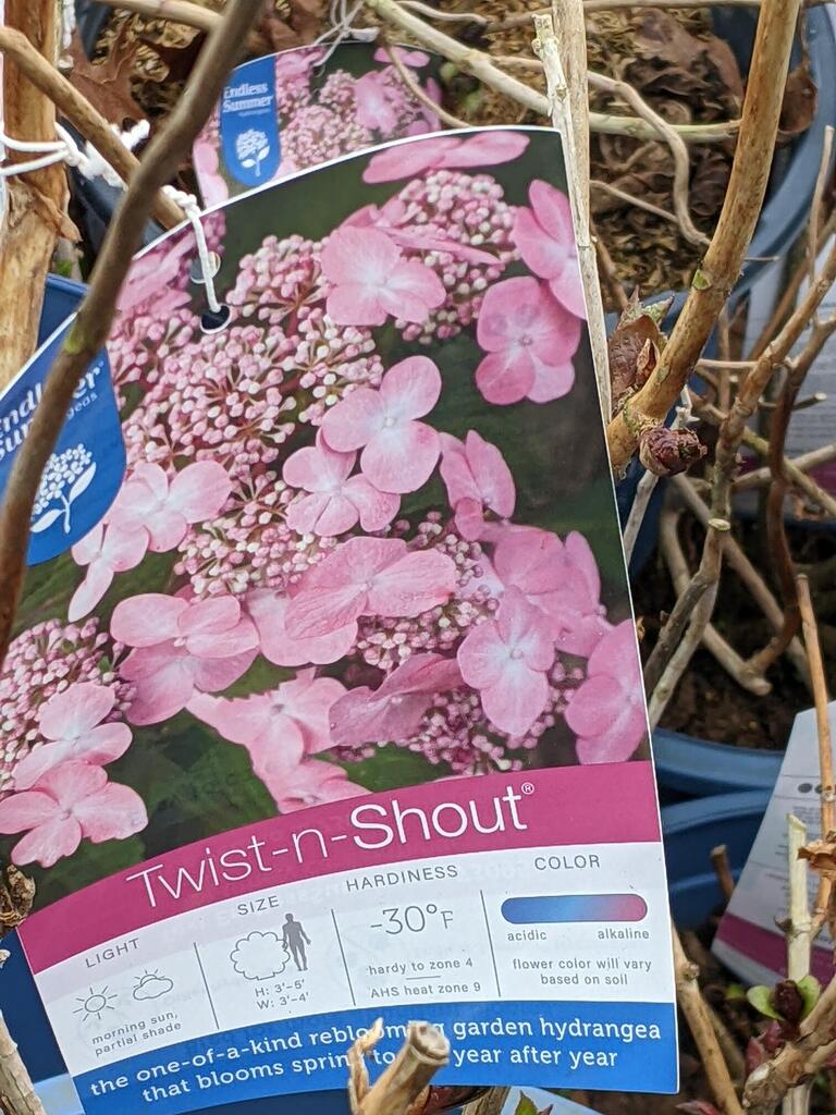 No description provided for: /2023/01-03/0322-rhodie-shopping/photo02.html