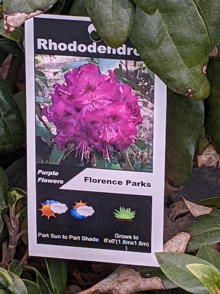 No description provided for: /2023/01-03/0322-rhodie-shopping/photo04.html