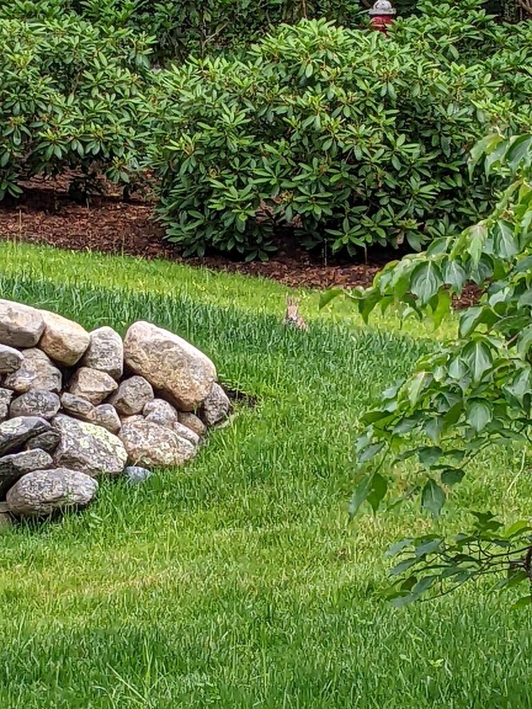 No description provided for: /2023/04-06/0628-46lake-bunny/photo01.html