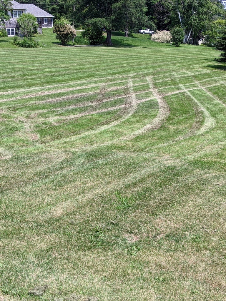 No description provided for: /2023/04-06/0630-lawn-tracks/photo01.html