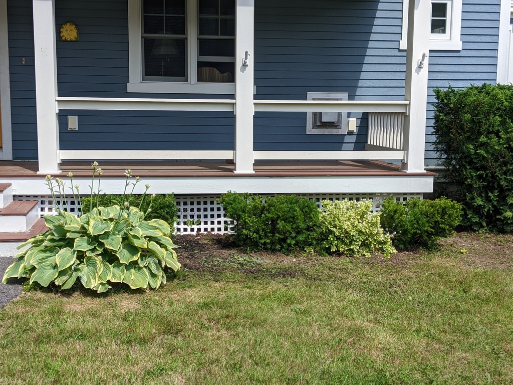 No description provided for: /2023/07-09/0709-bush-trimming/photo02.html