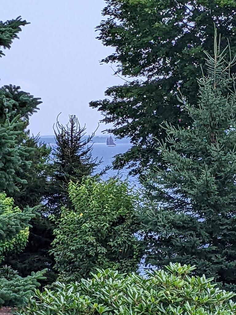 No description provided for: /2023/07-09/0728-sailboat-view/photo03.html