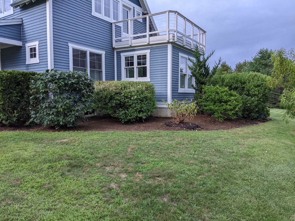 No description provided for: /2023/07-09/0804-bush-progress/photo01.html