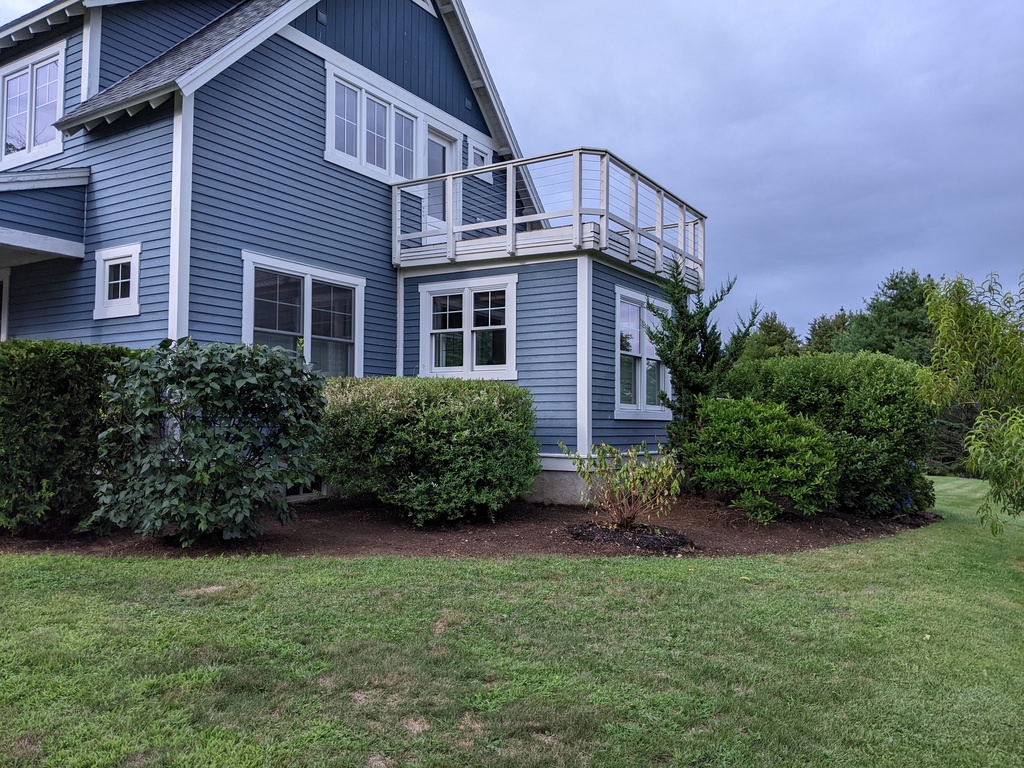 No description provided for: /2023/07-09/0804-bush-progress/photo02.html