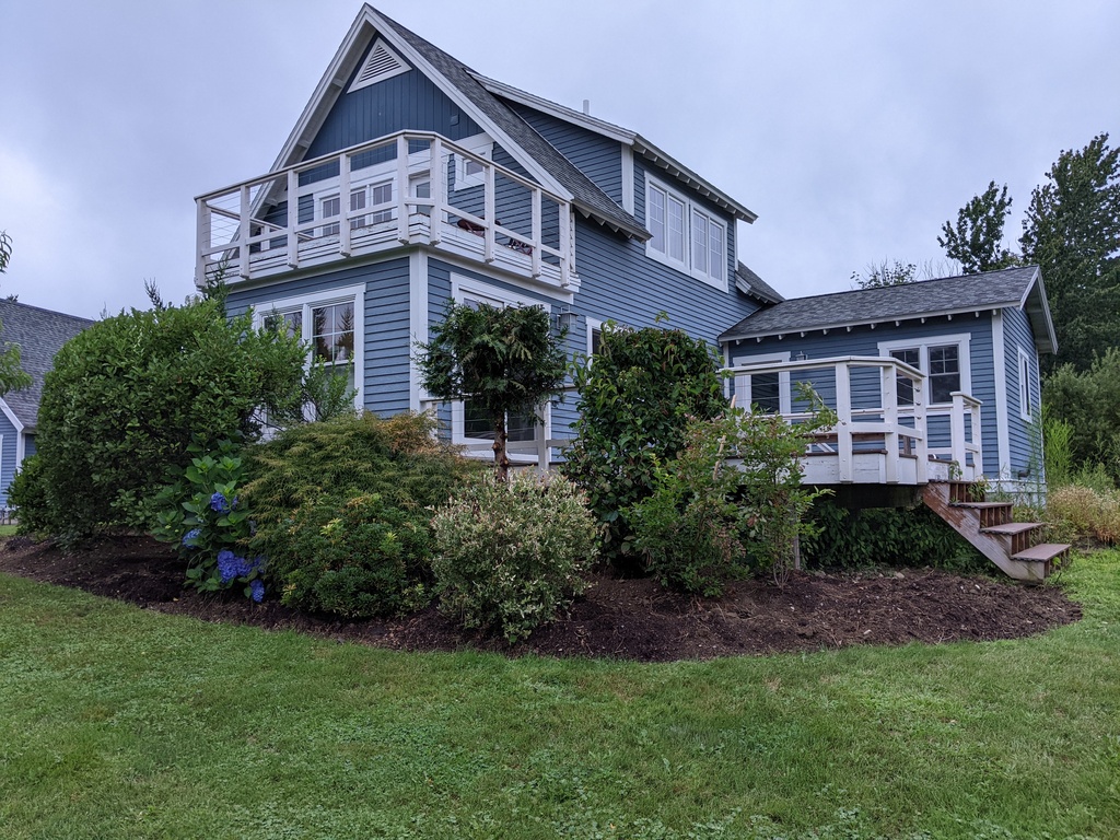 No description provided for: /2023/07-09/0805-bush-progress/photo03.html