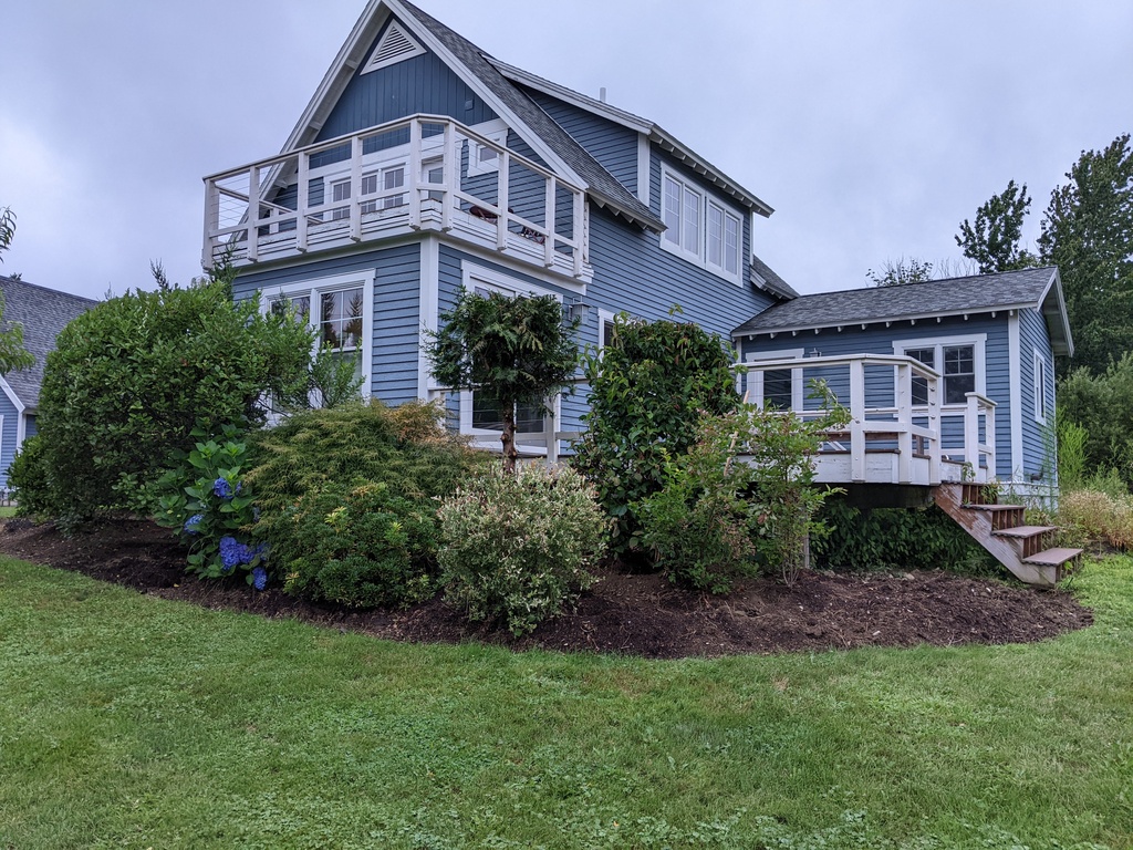 No description provided for: /2023/07-09/0805-bush-progress/photo04.html