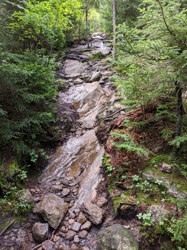 No description provided for: /2023/07-09/0819-bald-mountain/photo01.html