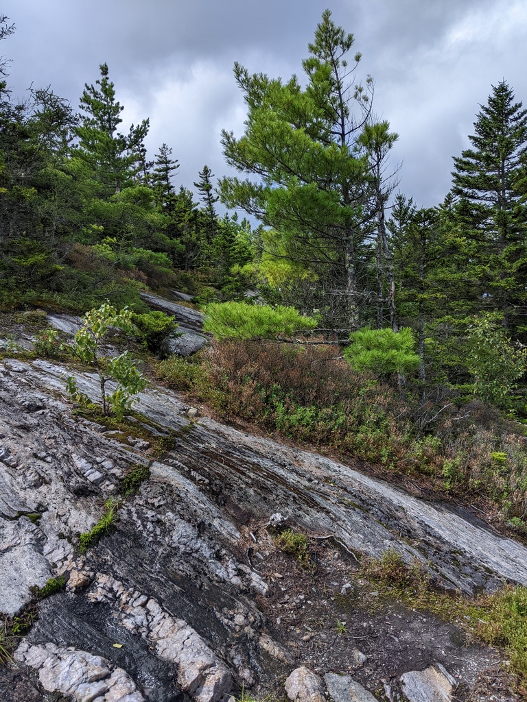 No description provided for: /2023/07-09/0819-bald-mountain/photo03.html